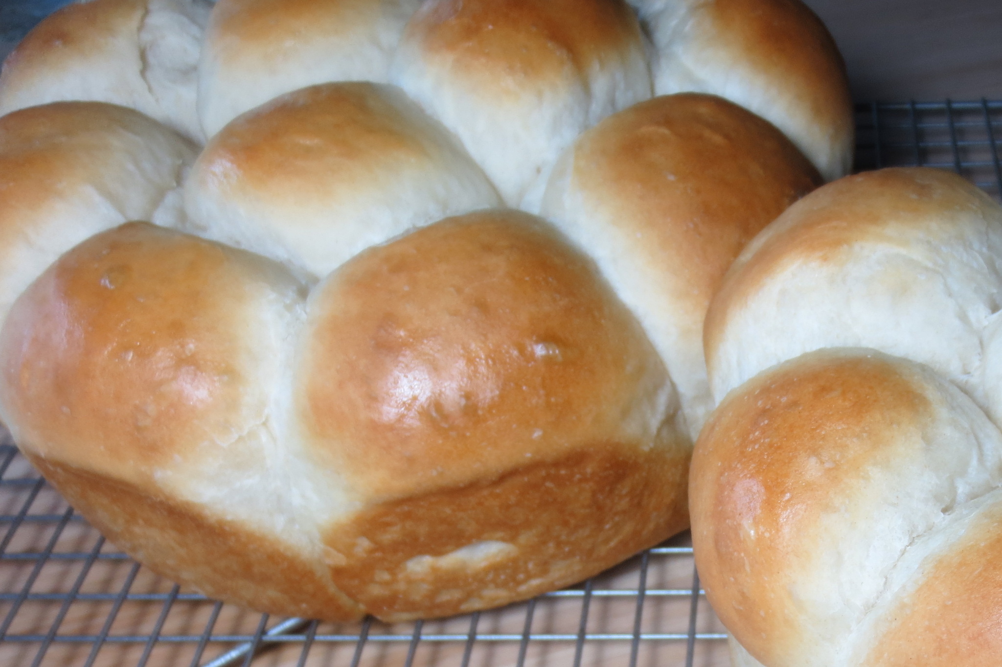 Sourdough Bread & Dinner Rolls Cinnamon and Sugar