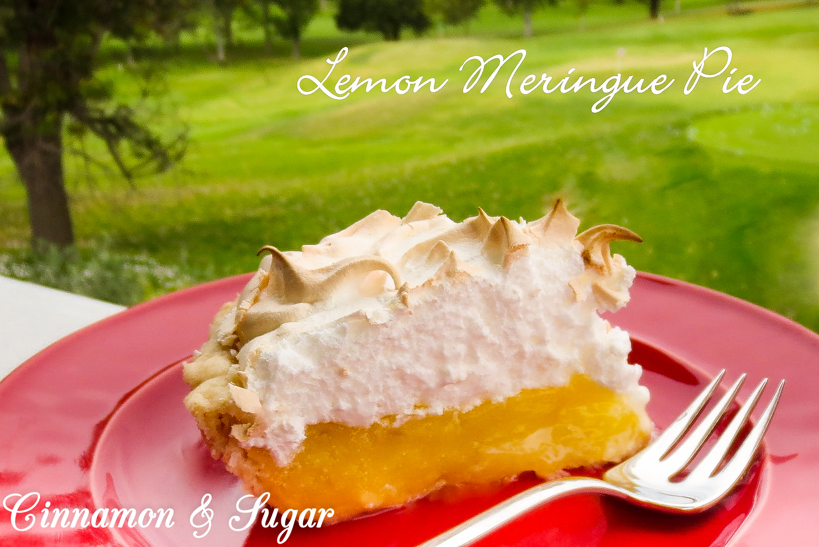 Lemon meringue pie: Cool, sunny yellow lemony filling with just the right balance of sweet and tart piled high with glossy, creamy meringue. Recipe from #cozymystery FARM FRESH MURDER by Paige Shelton