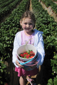 0150 She wants strawberries with long stems for dipping into chocolate