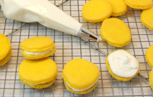 Lemon Macarons