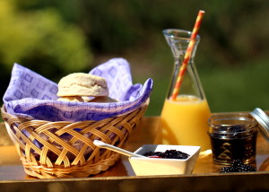 Wild Blackberry Jam & Biscuits