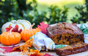 Pumpkin Chocolate Chip Bread