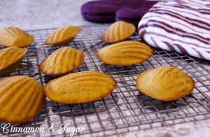 Pumpkin Spiced Madeleines-3686