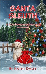 Santa Sleuth