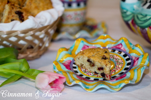 Cranberry Pecan Yogurt Scones are tender pastries with healthy yogurt replacing some of the butter making these a bit lighter than traditional scones.