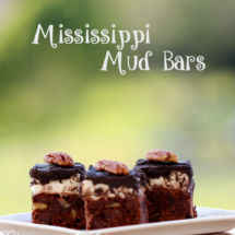 Mississippi Mud Bars