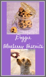 Whole grain Doggie Blueberry Biscuits are lightly sweetened with vanilla Greek yogurt & blueberries. A healthy way to spoil your favorite furry friend!