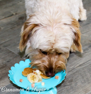 Even though these are a special treat for your favorite pup, Banana-Apple Pupcakes will appeal to humans as well with their fruity, whole-grain goodness!