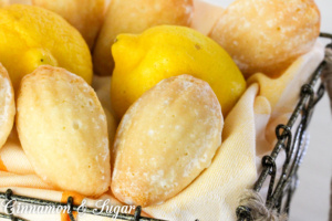 Elegant, cake-like Lemon Glazed Madeleine Cookies are an idea dessert to serve at luncheons or teas and delicious with bubbly Prosecco or a hot cup of tea!