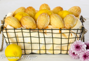 Elegant, cake-like Lemon Glazed Madeleine Cookies are an idea dessert to serve at luncheons or teas and delicious with bubbly Prosecco or a hot cup of tea!