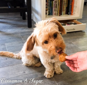 Liverin' It Up Dog Treats relies on jarred baby food making this an easy recipe to prepare. Your furry friends will give it 2 paws up for its beefy flavor! 