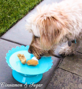 Caro's Apple Pupcakes are easy to whip up yet wholesome and delicious for your furry four-legged friend! Top with a dollop of yogurt for a special treat!