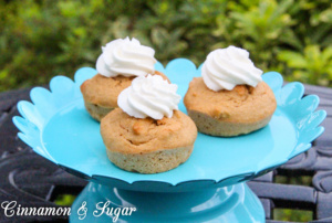 Caro's Apple Pupcakes are easy to whip up yet wholesome and delicious for your furry four-legged friend! Top with a dollop of yogurt for a special treat!