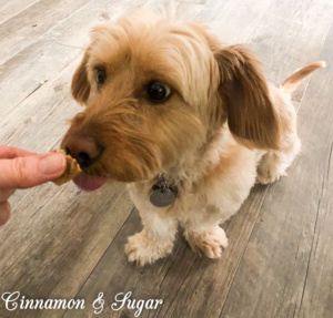 Cinnamon Roll-Overs Dog Treats are whole grain dog treats that are sweetened with a bit of honey and cinnamon then rolled up with finely chopped walnuts or pecans. Your dog will do lots of roll-overs to show you how much they love these yummy treats! 