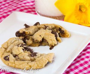 Hope’s Favorite Chocolate Chip Cookies are generously-sized cookies that are thick and soft with just a bit of chewiness thanks to the addition of a bit of bread flour. While I’ve never met a chocolate chip cookie that I didn’t like, these are perfection!