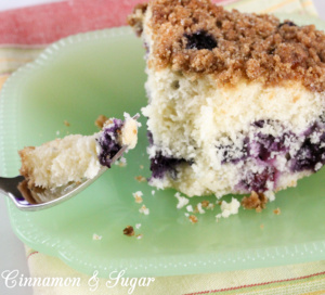 Lara's Blueberry Buckle pairs sweet, ripe blueberries with tender, moist cake. A struesel topping adds delightful texture and taste to this summery dessert!