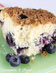 Lara's Blueberry Buckle pairs sweet, ripe blueberries with tender, moist cake. A struesel topping adds delightful texture and taste to this summery dessert!