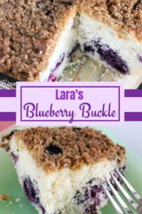 Lara's Blueberry Buckle pairs sweet, ripe blueberries with tender, moist cake. A struesel topping adds delightful texture and taste to this summery dessert!