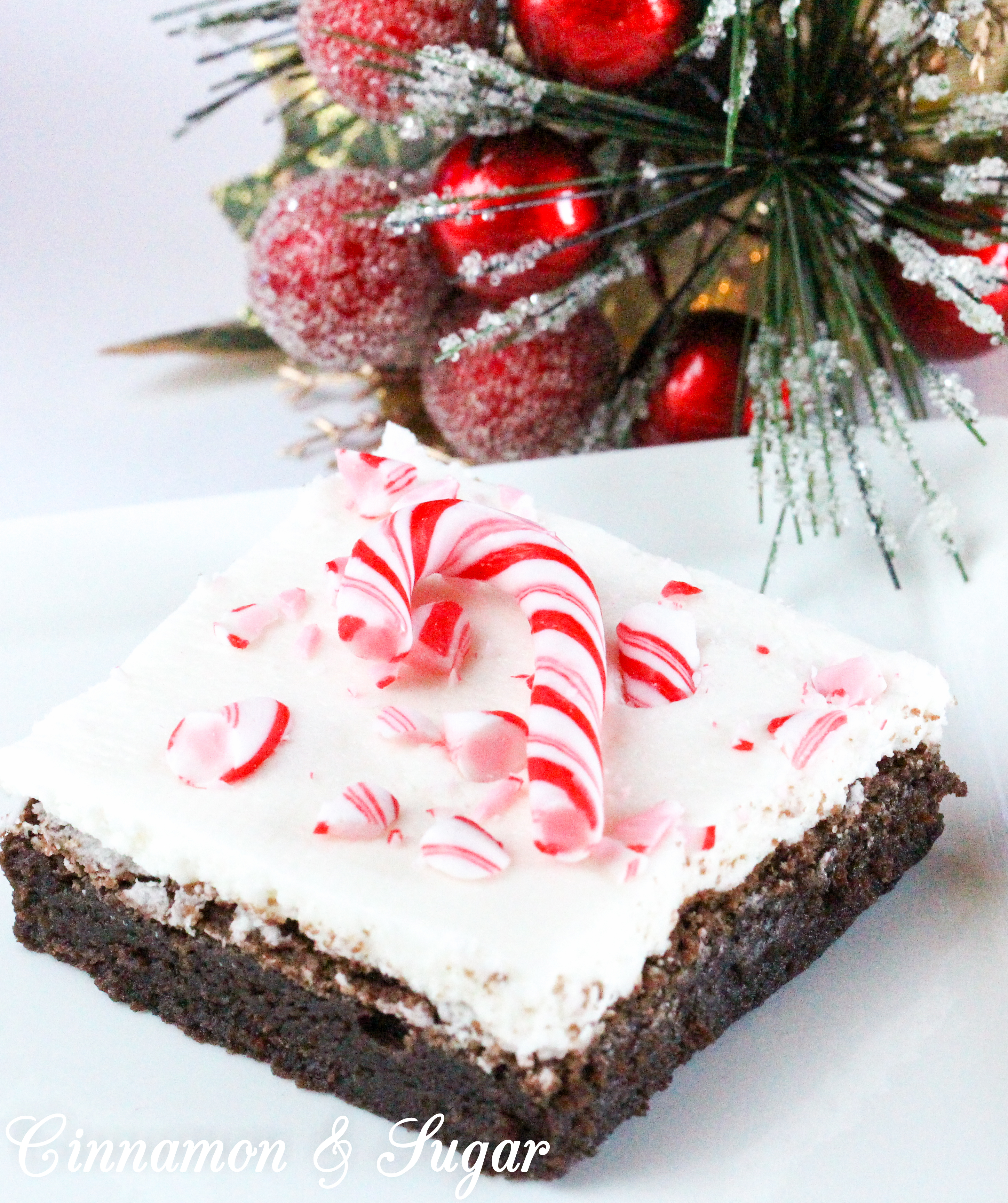 Candy Cane Brownies combine the yummy flavors of chocolate and peppermint while the added crunch of crushed candy canes sprinkled on top of the frosted brownies adds a festive touch. Recipe shared with permission granted by Catherine Bruns, author of GINGER SNAPPED TO DEATH.