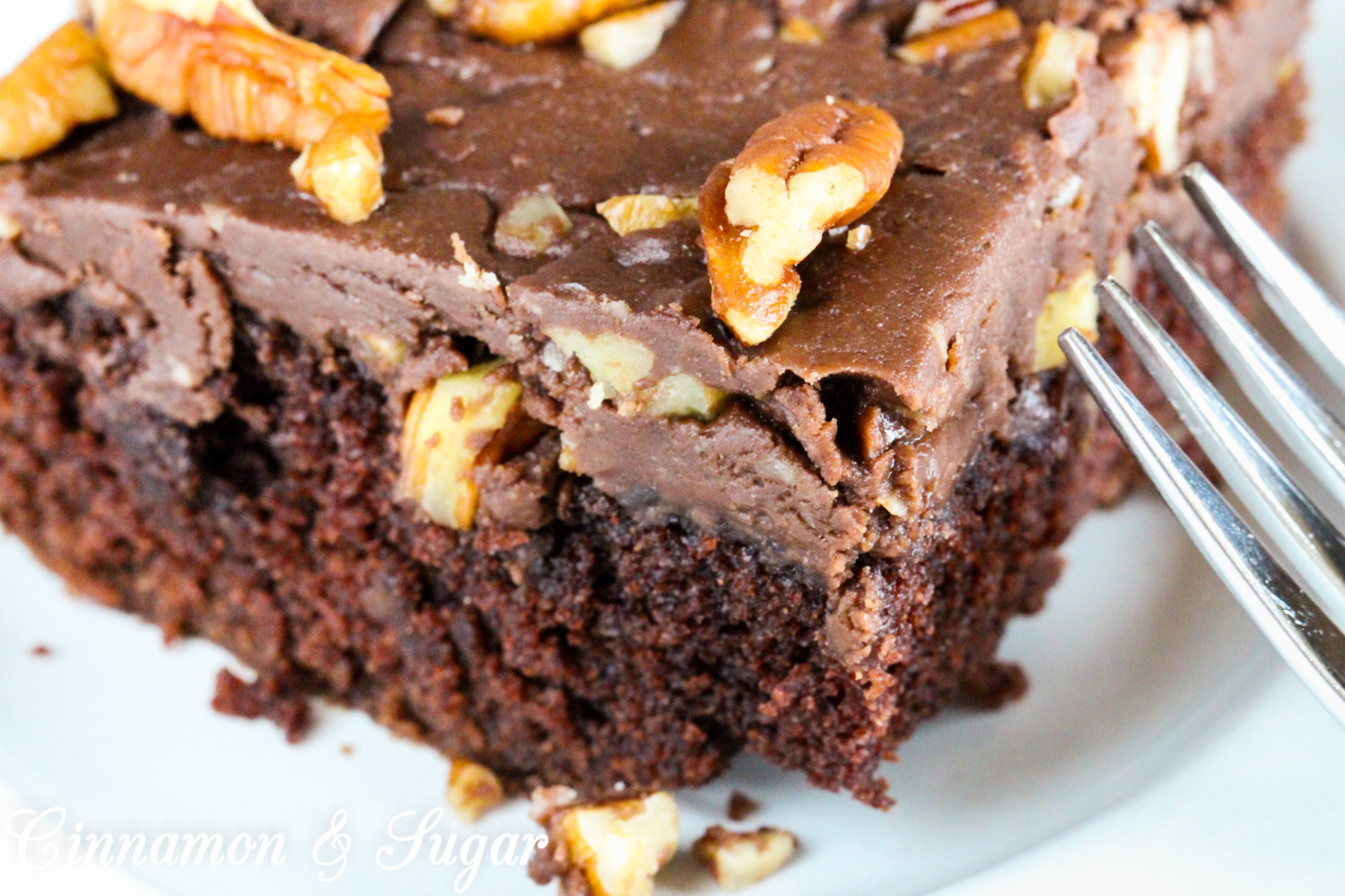 spanish-chocolate-cake-cinnamon-and-sugar