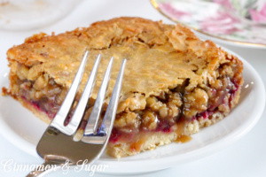 Crunchy brown sugar crust is layered with simple raspberries and topped with a gooey-chewy nut and coconut layer to make Raspberry Bars a satisfying treat! Recipe shared with permission granted by Ellie Alexander, author of cozy mystery LIVE AND LET PIE.