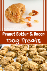 Peanut Butter and Bacon Homemade Dog Treats are whole-grain bites that are full of flavor thanks to a generous amount of peanut butter and bits of bacon. Recipe from Liz Mugavero, author of MURDER SHE MEOWED.