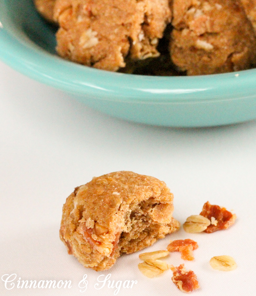 Peanut Butter and Bacon Homemade Dog Treats Cinnamon and Sugar