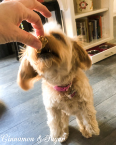 Peanut Butter and Bacon Homemade Dog Treats are whole-grain bites that are full of flavor thanks to a generous amount of peanut butter and bits of bacon. Recipe from Liz Mugavero, author of MURDER SHE MEOWED.