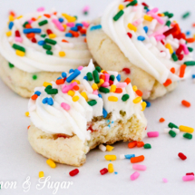 Sprinkled With Fun Cookies-9