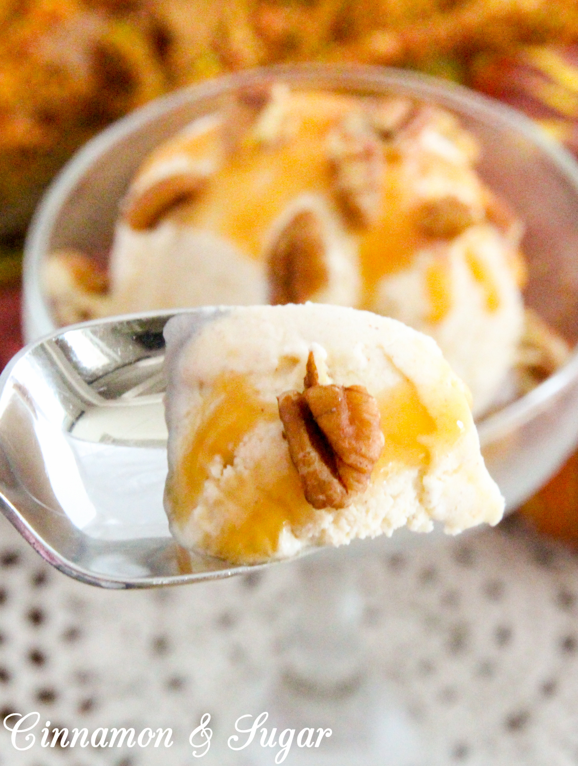 Chagrin Falls Pumpkin Spice Ice Cream is luscious and creamy! This frozen concoction has the perfect balance of pumpkin and spices so that one doesn’t overwhelm the other. Recipe shared with permission granted by Abby Collette, author of A DEADLY INSIDE SCOOP.