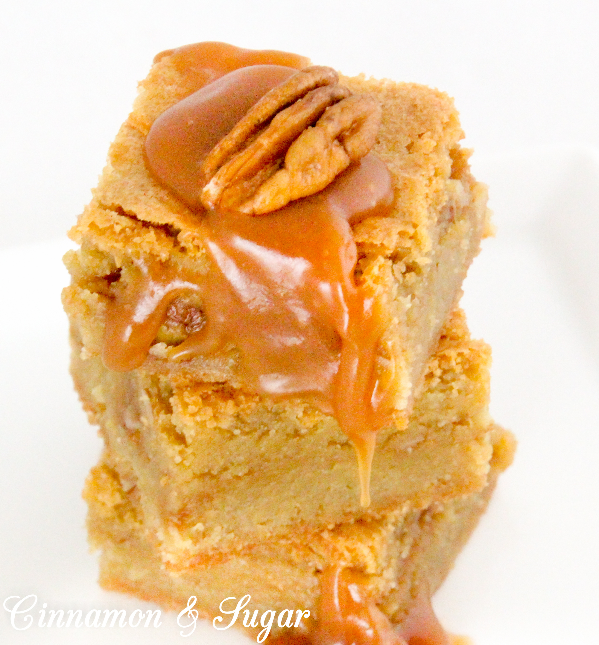 Caramel Blondies have a luscious layer of homemade salted caramel sauce and a generous sprinkle of chopped pecans between rich, buttery blondies. Recipe shared with permission granted by Daryl Wood Gerber, author of A SPRINKLING OF MURDER.