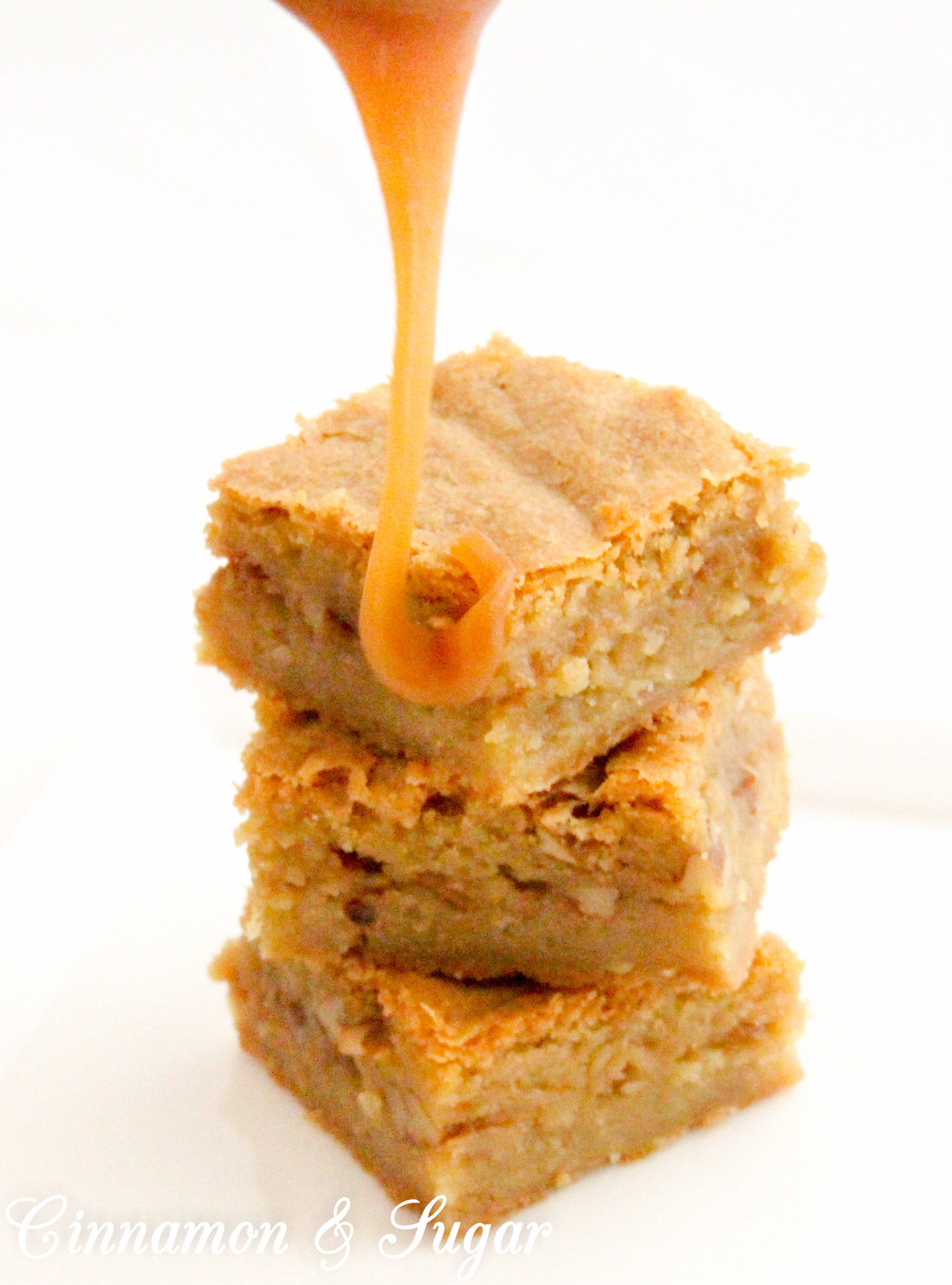 Caramel Blondies have a luscious layer of homemade salted caramel sauce and a generous sprinkle of chopped pecans between rich, buttery blondies. Recipe shared with permission granted by Daryl Wood Gerber, author of A SPRINKLING OF MURDER.