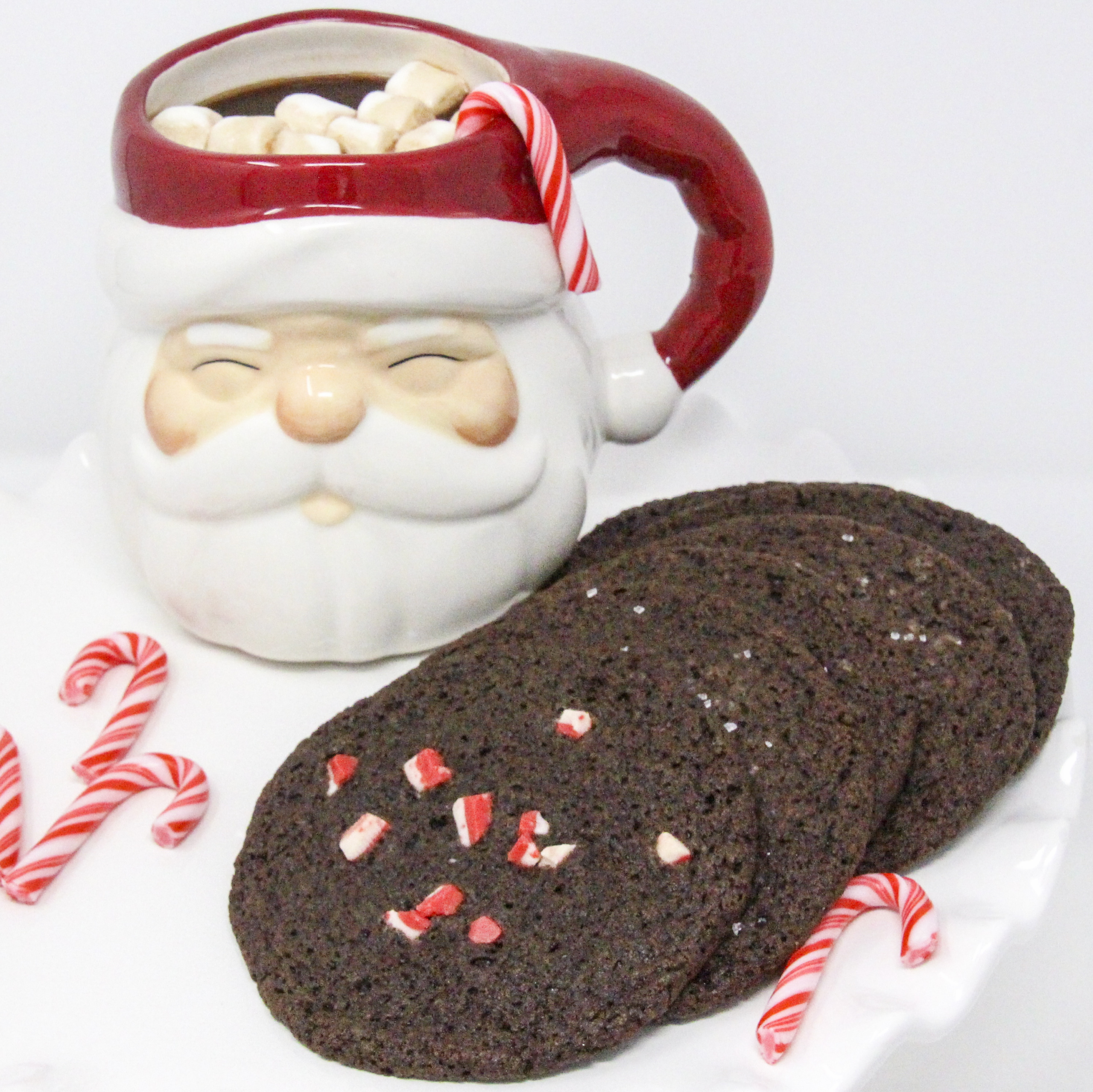 Santa's Favorite Chocolate Cookies are a bit soft and chewy on the inside and a little crisp around the edges. A sprinkle of coarse white sugar to mimic snow or a sprinkle of peppermint chips adds a festive flare. Recipe created by Cinnamon & Sugar for STARLIGHT AT MOONGLOW by Deborah Garner.