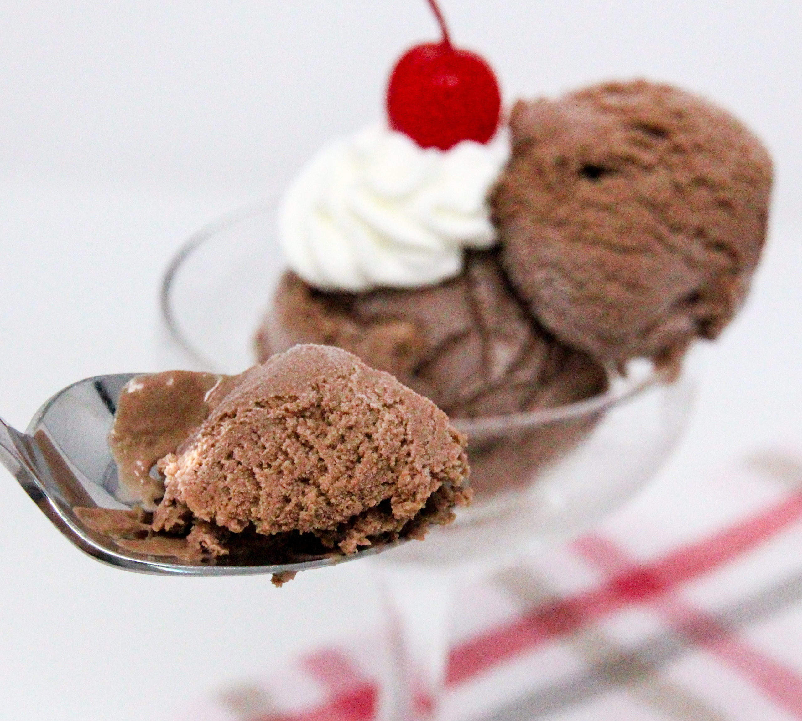 Shortcut Hot Cocoa Ice Cream uses four simple ingredients and the no-cook recipe mixes up quickly. After a quick fifteen-minute churn in an ice cream maker, the yummy chocolaty soft serve ice cream is ready to eat. Recipe shared with permission granted by the publisher, Sourcebooks / Poisoned Pen Press. 